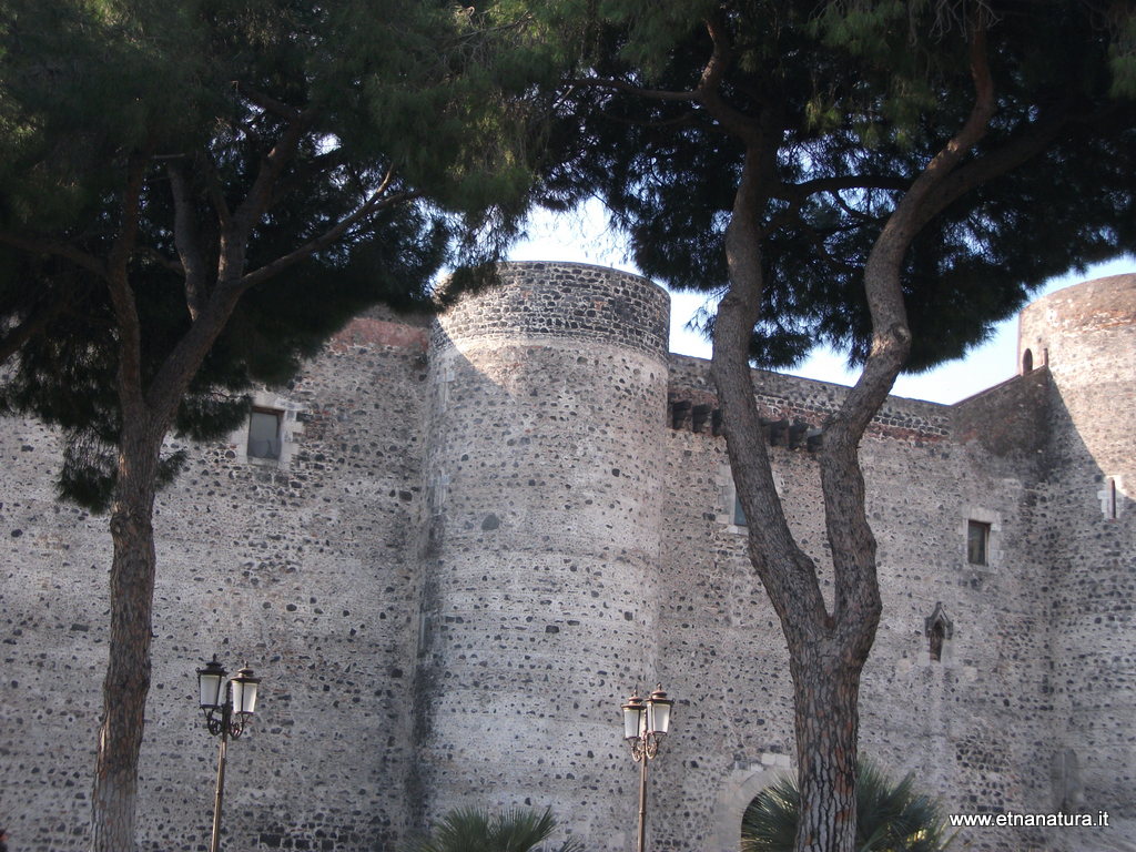 stello Ursino-12-03-2014 08-45-56